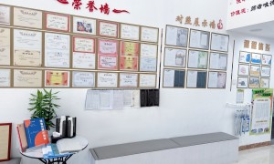 长春一对一书法辅导靠谱机构有哪些？王剑书法实力与用户口碑深度解析