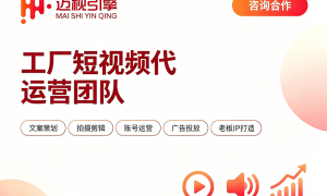 工厂短视频代运营公司团队实力测评