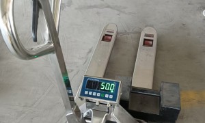 搬运车生产企业选择哪家好？德立信起重机械源头厂家实力参考