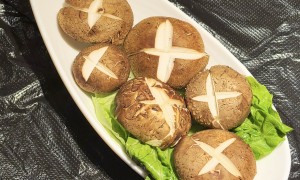 2026年餐饮项目推荐哪家可靠 正规服务商评选汇总