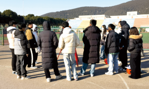 2026年口碑好的职教高考集训机构推荐，用户力荐鸿途教育