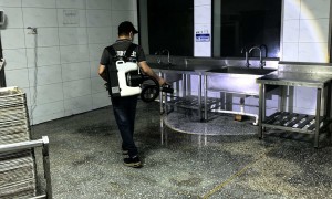 2026年邵阳靠谱的除虫灭鼠品牌 广受信赖的省心之选