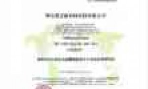 超耐候防腐氟素板哪家强？深度测评湖北高正新材的核心技术壁垒