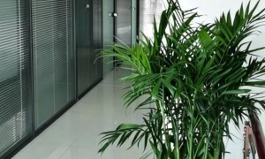 工程标书代做选哪家可靠？黑龙江仲予咨询覆盖哈尔滨适用项目