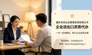 2026年省心的进出口资质代办服务商挑选全攻略