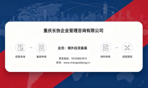 2026境外投资备案服务商口碑推荐，零套路实力之选