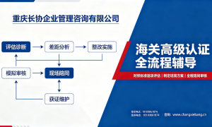 2026年海关高级认证辅导服务商挑选全攻略，省心不踩坑的优选指南
