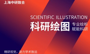 正规的院士增选申报答辩PPT重塑服务商综合实力推荐