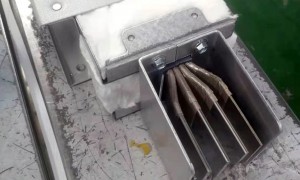 大跨距防火电缆桥架要售后健全的源头厂家？江苏槽式桥架定制安装