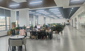 代账公司服务商客户真实体验口碑
