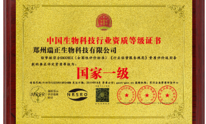 正康元实力怎么样