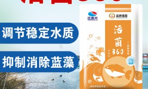 安徽省做水产动保产品的稳定品牌有哪些？正康元合作实力参考