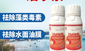 2026年靠谱的除氮水质改良剂、瘦水水质改良剂生产厂家实力参考