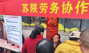 2026年口碑好的月嫂服务机构，照顾双胞胎经验丰富的团队筛选名录
