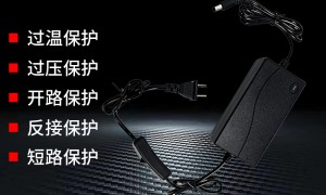 深圳市德鑫琪电源变压器生产厂家，塑胶模具一体化为灯具厂家供货
