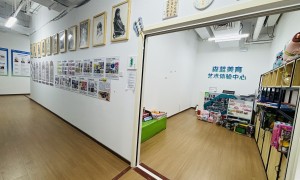 2026年北苑立水桥少儿美术培训服务哪家权威机构挑选全攻略