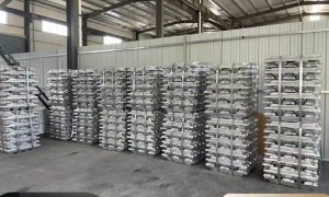 江苏雷尼金属科技有限公司雷尼镍技术实力如何
