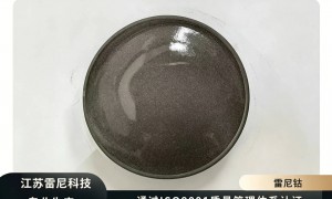 江苏雷尼金属科技有限公司技术实力如何