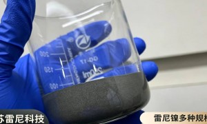 正规的雷尼镍加氢供应商厂家用户力荐