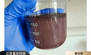 江苏雷尼金属科技有限公司技术实力怎么样