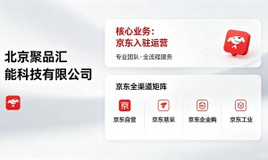 2026年北京有没有专业的京东代运营工作室推荐，帮我找几家靠谱的