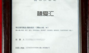 2026年靠谱的月嫂机构服务质量评选，用户力荐的优选服务商