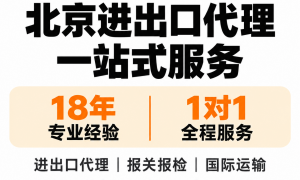 橙时代进出口代理公司，深耕京津冀市场，提供门到门国际货运与贸易代理综合服务