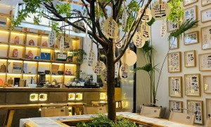 疗愈商学院线上培训哪家靠谱，湖南半趣斋文化实战体系实力参考