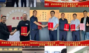祁阳苏式古建筑项目监理服务商哪家好，鑫辉别墅行业观察与实务选择参考