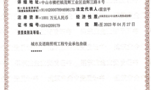 太阳能路灯制造厂家发展现状与市场占有率及排名研究分析报告