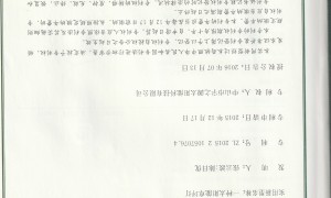 广东2026年靠谱的太阳能庭院灯精品定制厂家有哪些