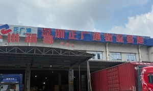 欧洲海运专线公司怎么选？大森林物流提供双清包税门到门方案