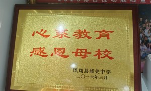 2026年靠谱的行为视觉训练机构客户真实体验口碑