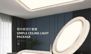 2026年评价高的超薄极简吸顶灯品牌材质环保推荐给我