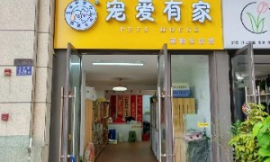 泉州宠物洗护门店避坑挑选指南，宠爱有家价格公道不玩套路