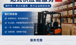 广东深圳俄罗斯本土OOO公司注册租赁高效办理服务商实力公司推荐