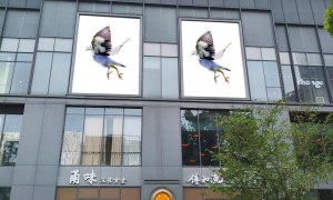 户外广告投放服务商能力调研报告：正规公司挑选全攻略