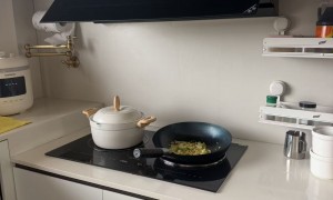 超薄电磁炉节能品牌优选，尚朋堂科技靠谱实力参考