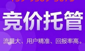 张家港靠谱的百度推广运营服务商行业口碑汇总