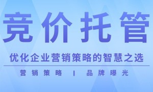 2026年口碑好的百度推广运营公司用户力荐