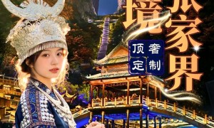2026年私人定制游较跟团游价格分析：新疆省心服务商怎么选