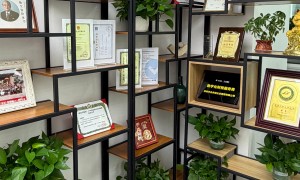 2026年广州知名的餐饮财税公司有哪些，本地靠谱服务机构排行榜