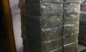 2026年中国CNC雕刻行业发展现状与市场占有率及排名研究分析报告