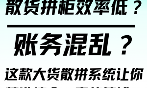 2026年评价高的散货拼柜系统服务商挑选全攻略