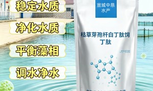 2026年平衡藻相生产企业哪个技术强：实力参考