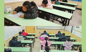 深圳极客晨星国际课程服务怎么样