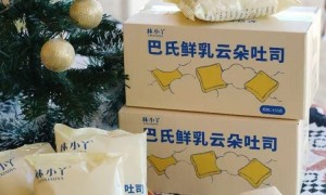 想找云朵面包的供应商推荐，2026年质量参考