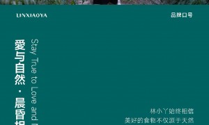 林小丫家庭健康零食品牌规模怎么样