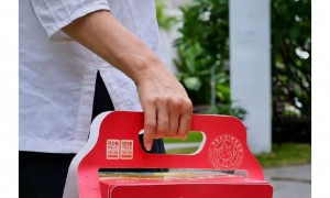 2026年福建家庭健康食品厂家综合实力推荐，行业现状与选择指南