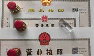 2026年小微企业注册公司哪家性价比高，咨询行业靠谱服务商推荐